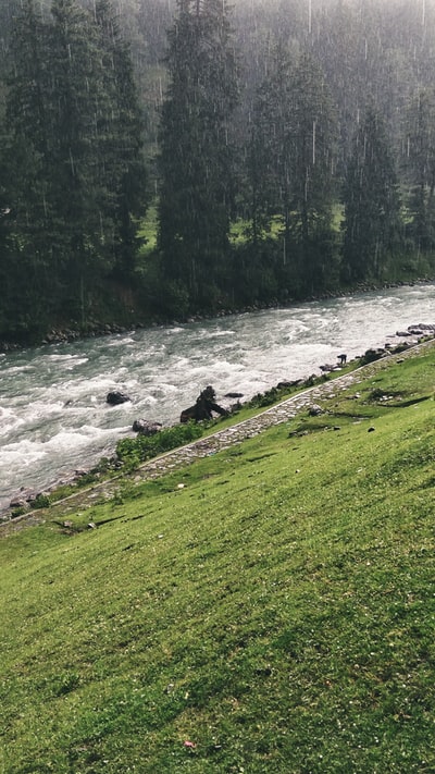 Sat by the river during the day on the green grass
